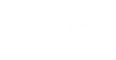 partners who work with BetDukes